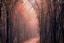 巴利亚多利德vs西班牙人实时比分是多少？这场比赛有哪些关键看点？