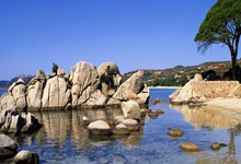 葡萄牙vs丹麦首发阵容会有哪些看点？